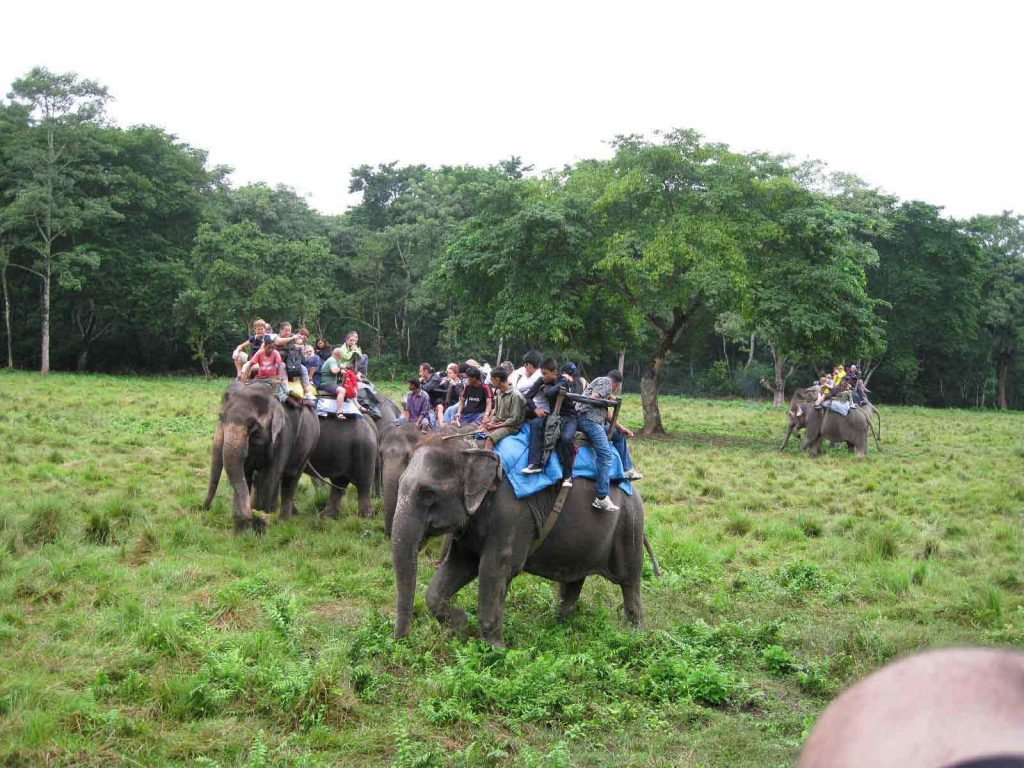 Chitwan National Park